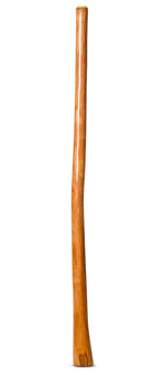High Gloss Finish Didgeridoo (NW149)